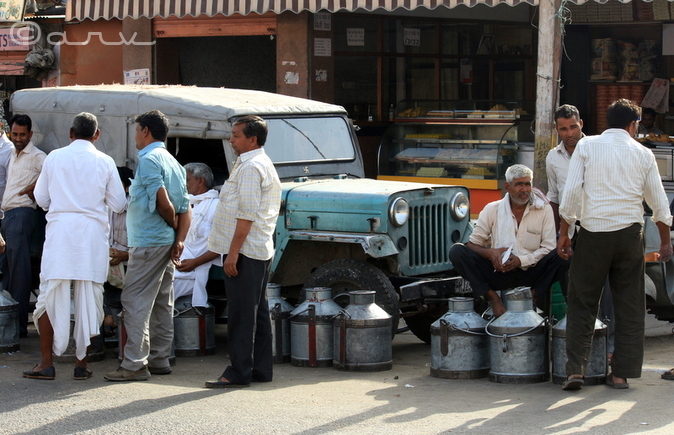 milk market in Jaipur