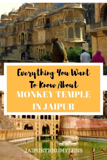 Everything You WantTo Know About Monkey temple Jaipur - Galtaji #jaipur #monkeytemple #monkey #temple #hinduism #heritage #beautiful #rajasthan #incredibleindia #krishna