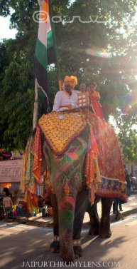 decorated-elephant-city-palace-jaipur-govind-dev-ji-temple-procession-janmasthmi