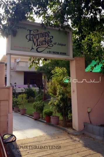 the-farmer-market-of-jaipur-organic-vegetables-food