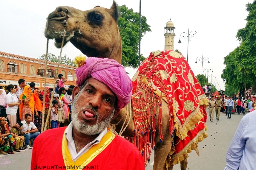 Jester | Teej Festival Jaipur – JaipurThruMyLens