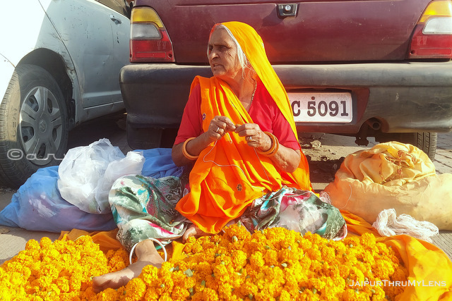 woman-marilgold-flower-seller-jaipur-street-market-india