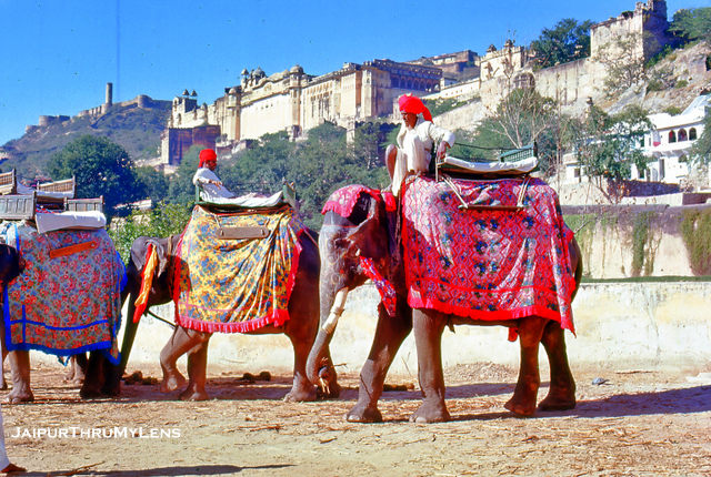old-jaipur-picture-elephant-ride-amer-fort-1970